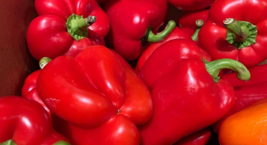 Що категорично не можна садити коло перців: ці рослини ніколи не приживуться та будуть постійно конкурувати 