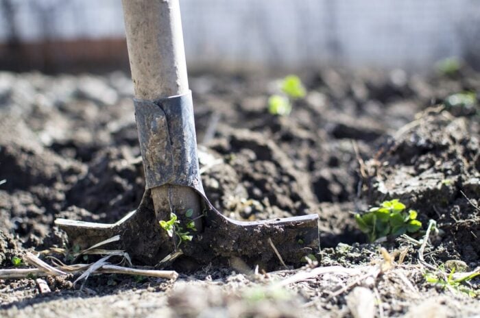 Експерти розповіли, як покращити структуру ґрунту без зайвого перекопування