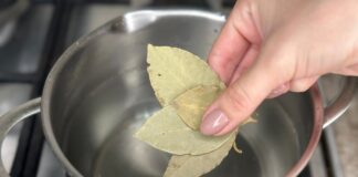 Експерти розповіли, чим можна ефективно і за раз вивести мурах