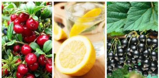 Лимон, чорна смородина, журавлина: обираємо натуральні джерела вітаміну C