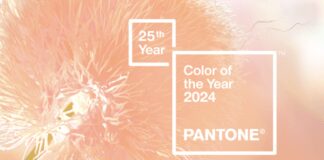 Pantone назвав головний колір 2024 року 