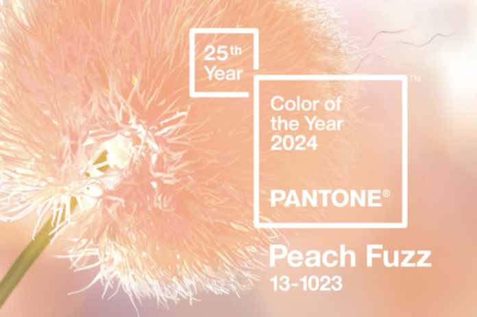 Pantone назвав головний колір 2024 року 