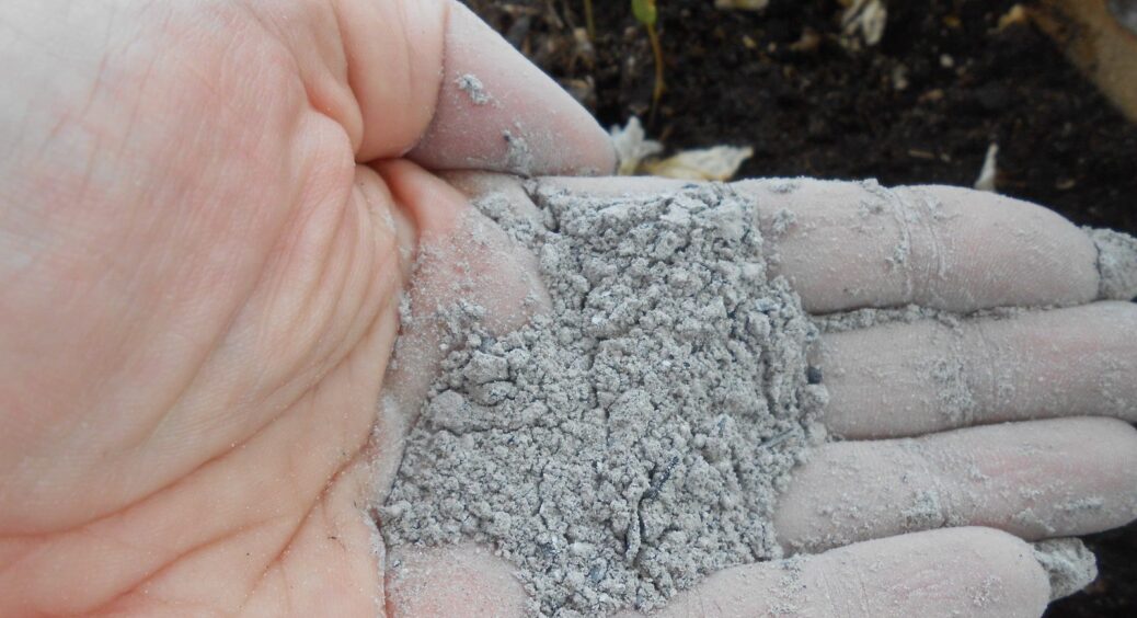 Деревну золу як добриво використовую з розумом. Як взяти з неї тільки користь для свого городу 