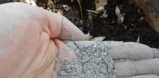 Як використовувати золу на городі