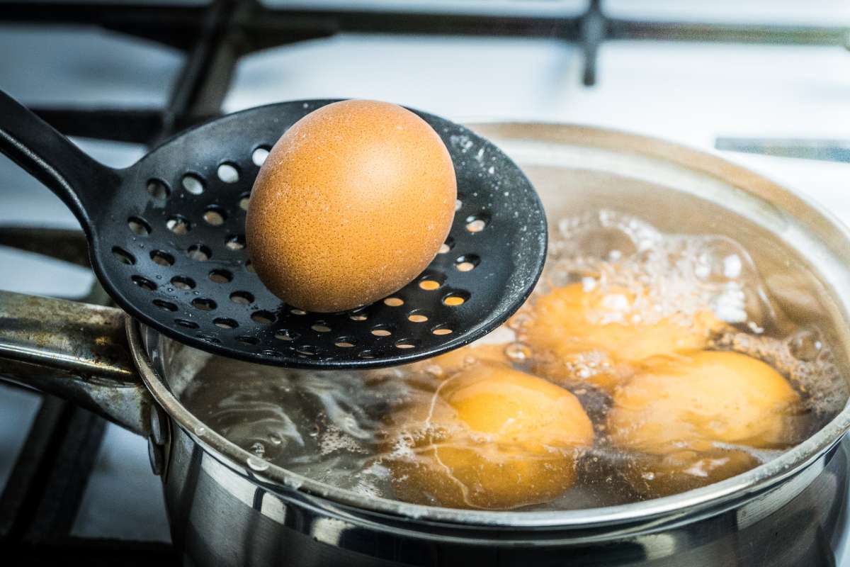 Як правильно варити курячі яйця