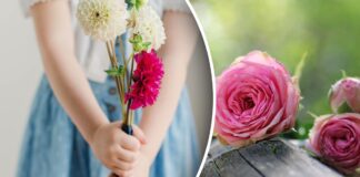 Езотерик розповів, як по квітах визначити характер жінки