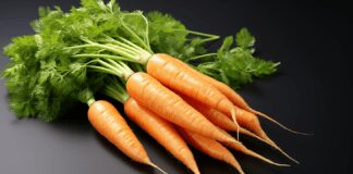 Городник розповів про сорти-фаворити моркви у 2024