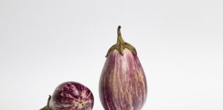 Експерти назвали найбільш родючий сорт баклажанів у 2024