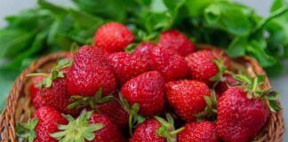 Що посадити у міжрядді полуниці