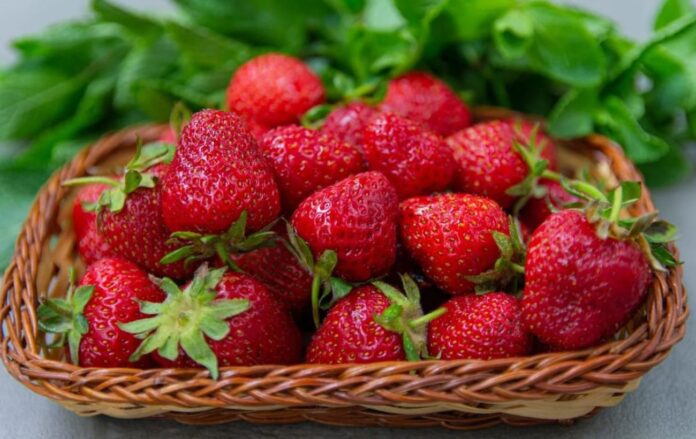 Що посадити у міжрядді полуниці Що посадити у міжрядді полуниці