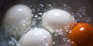 Як вода після варіння яєць допоможе на городі