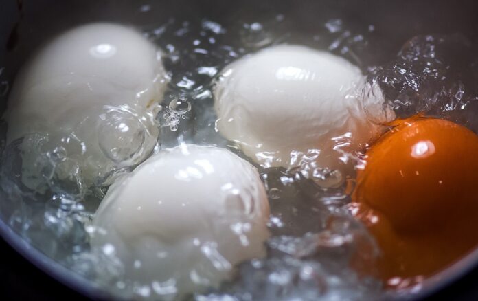 Як вода після варіння яєць допоможе на городі