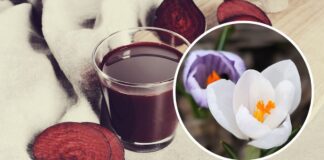 Квітникар розповів, чим полити кімнатні квіти для пробудження цвітіння