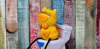 Чому необхідно тримати кришку унітаза закритою: думка експертів