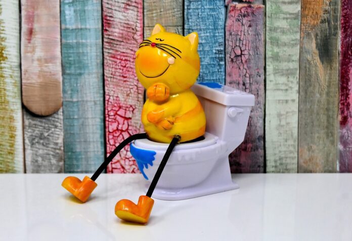 Чому необхідно тримати кришку унітаза закритою: думка експертів Чому необхідно тримати кришку унітаза закритою: думка експертів