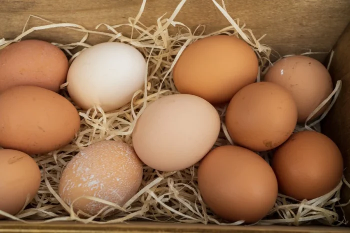 Кухар розповів, як довго слід варити курячі яйця
