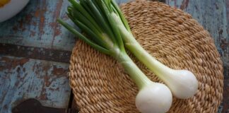 Городник розповів, що можна висаджувати коло цибулі