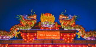 Коли насправді рік Зеленого Деревʼяного Дракона