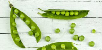 Рецепт салату з зеленого горошку без мʼяса та риби