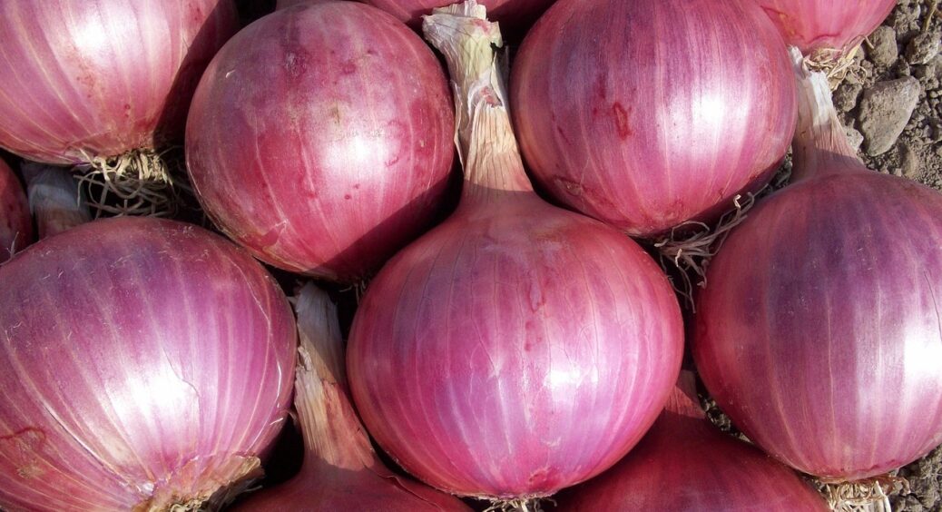Як правильно замаринувати цибулю: ідеальний рецепт для закусок, салатів та смажених м’ясних страв 