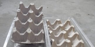 Як виростити зелену цибулю без землі