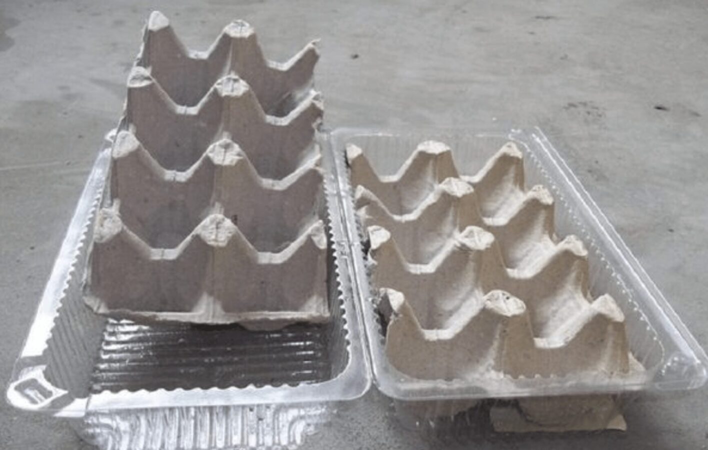 Як виростити зелену цибулю без землі