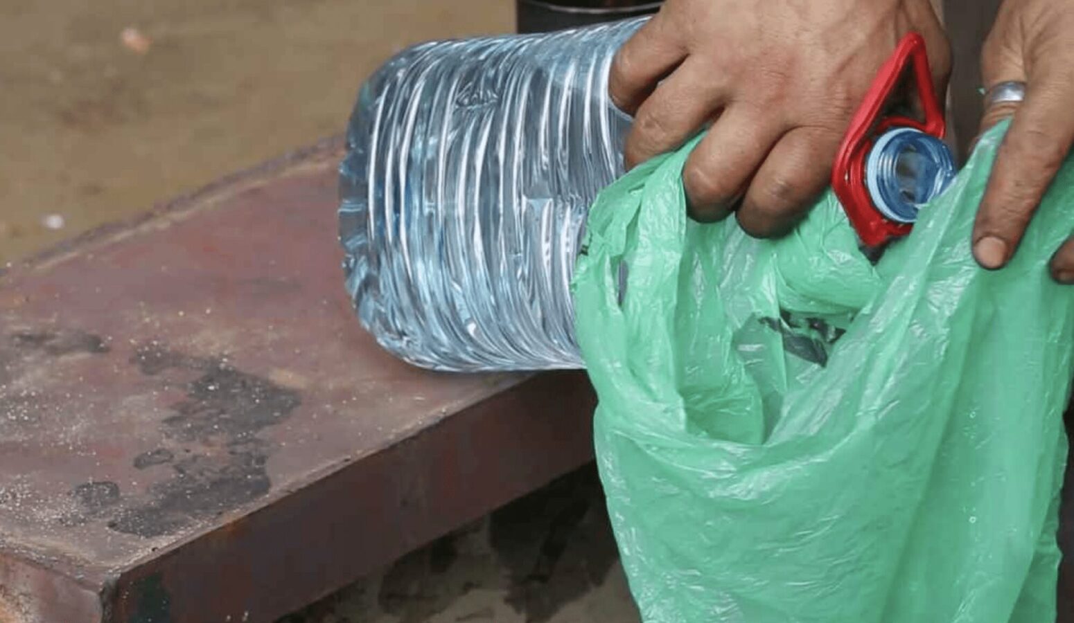 Досвідчені дачники розповіли, для чого на дерево вішати пакет з водою