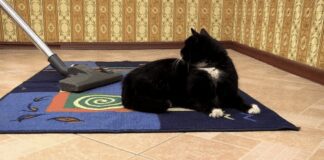 Експерти розповіли, як в домашніх умовах розпушити старий килим