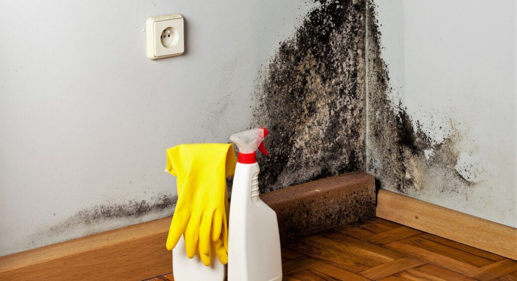 Допоможе крейда і трішки олії гвоздики: як позбутись від плісняви у квартирі та будинку. Простий метод 