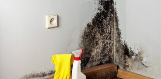 Як позбутись від цвілі у квартирі