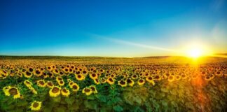 Психологи розповіли, як підняти настрій близьким в останній день зими