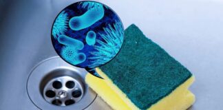 Як очистити кухонну губку без клопоту