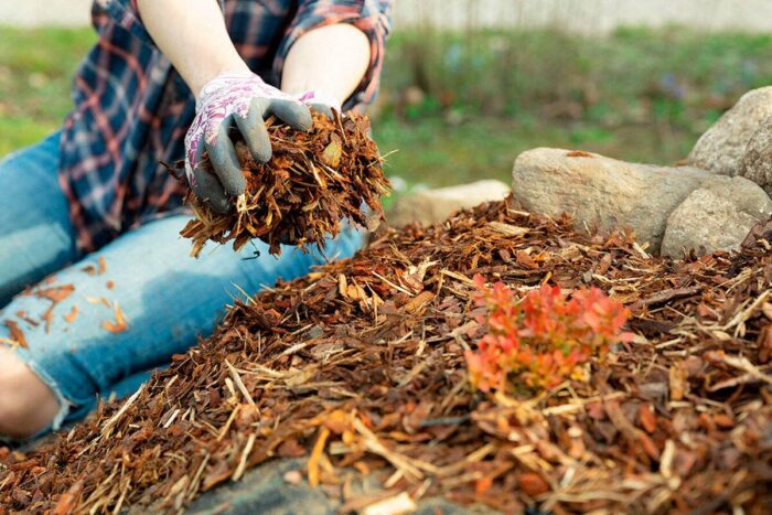 Експерти назвали найкраще добриво для ґрунту, яке варто вносити на город після завершення зими