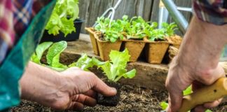 Місячний календар на березень 2024 для городників