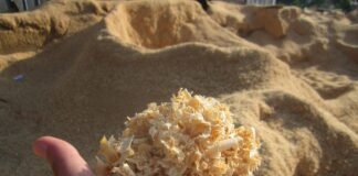 Дачники пояснили, чому тирсою не можна мульчувати город ні в якому разі