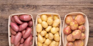 Дачники розповіли, як правильно зберігати картоплю в погребі 