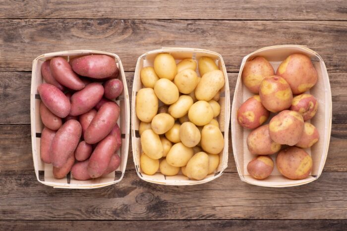 Городні експерти розповіли про головні правила вибору та найкращий сорт картоплі для посадки