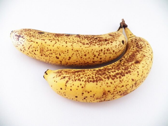 Рецепт натурального добрива з лушпиння, шкаралупу і банана для родючості