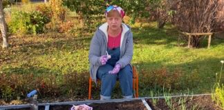 З чим посадити часник? Унікальна схема