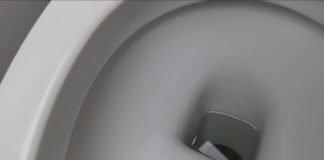 Досвідчені господині розповіли, для чого кидати лаврове листя в унітаз