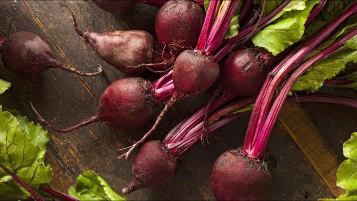 Експерти назвали унікальні сорти буряка, які дають найсолодший врожай Експерти назвали унікальні сорти буряка, які дають найсолодший врожай