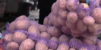 Ключовий інгредієнт для збільшення врожаю картоплі 