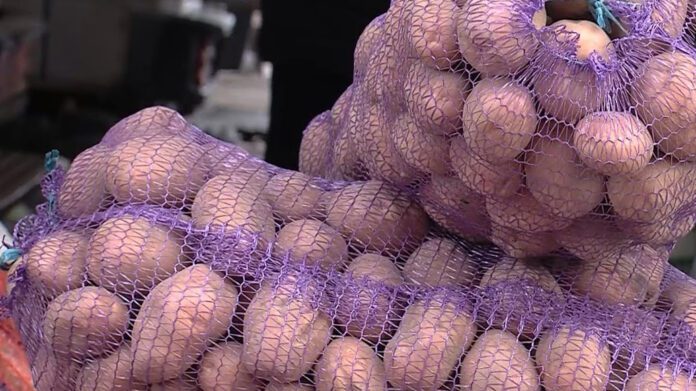 Ключовий інгредієнт для збільшення врожаю картоплі 