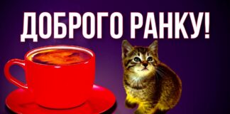 Найкращі побажання доброго ранку в смс: ніжні прості слова