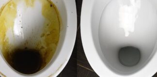 Експерти розповіли, навіщо натирати унітаз лимоном