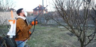Поради садівників: як зберегти здоров'я фруктового саду на весні