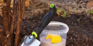 Як правильно підготувати ґрунт до нового посівального сезону