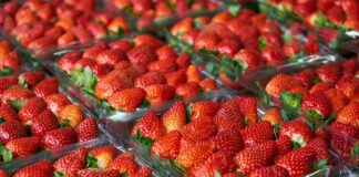 Садівники назвали найкращі методи догляду за полуницею