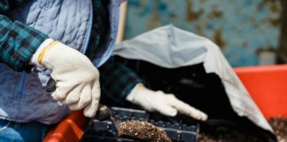 Готуємось до весняного сезону: поради садівника