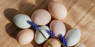 Знайшла найкращий рецепт закуски із яєць: корисно та швидко